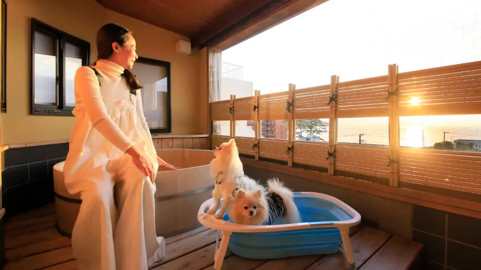 Yururi Nishi-Izu: A Hot Spring Inn Where You Can Stay with Your Beloved Dog