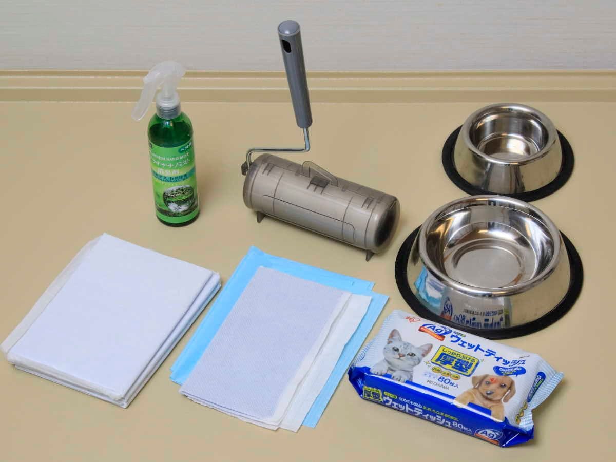 Kemudahan Bilik untuk Anjing ※Contoh