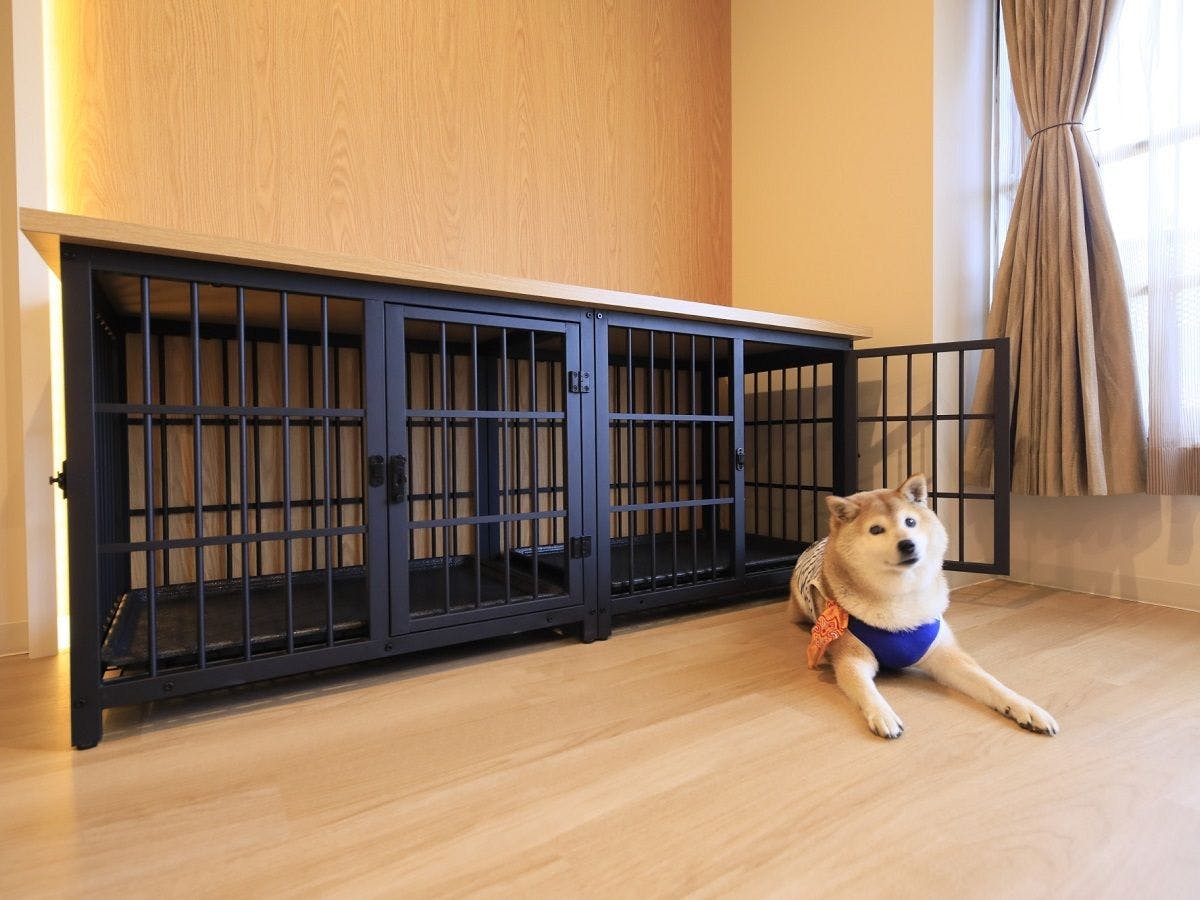 Yururi Nishi-Izu: A Hot Spring Inn Where You Can Stay with Your Beloved Dog