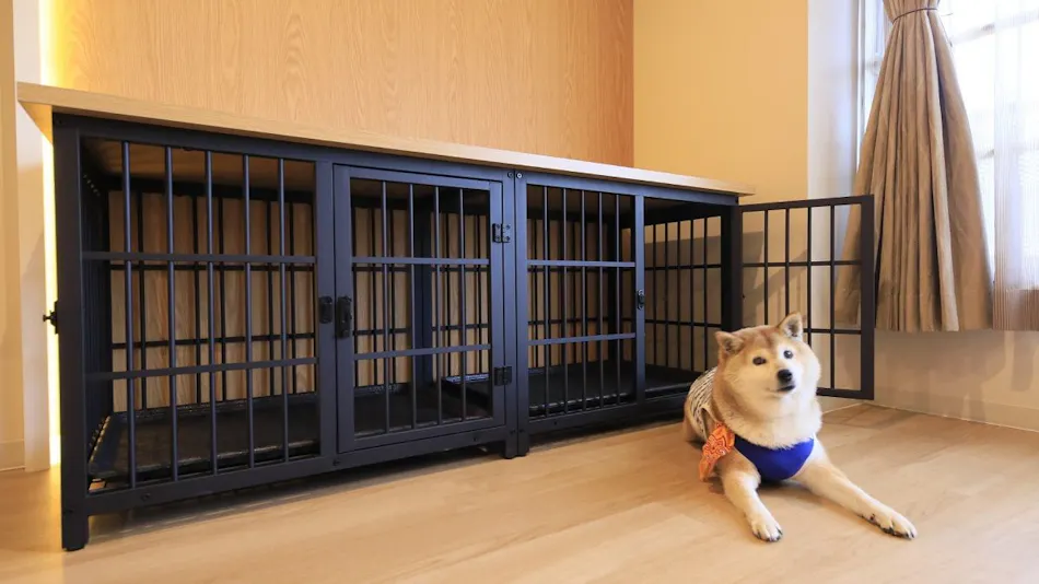 Yururi Nishi-Izu: A Hot Spring Inn Where You Can Stay with Your Beloved Dog