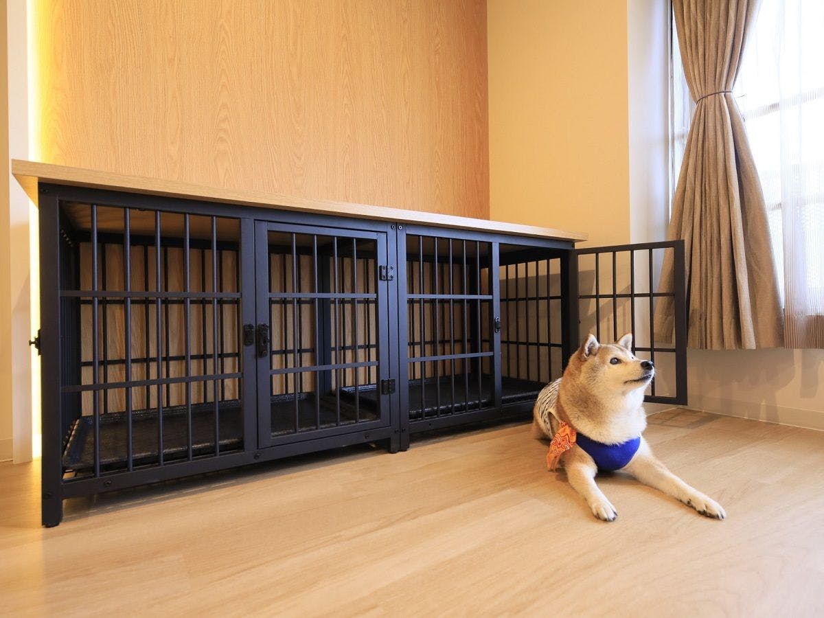 Bilik Twin Gaya Barat dengan Sangkar Terhad