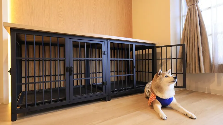 Yururi Nishi-Izu: A Hot Spring Inn Where You Can Stay with Your Beloved Dog