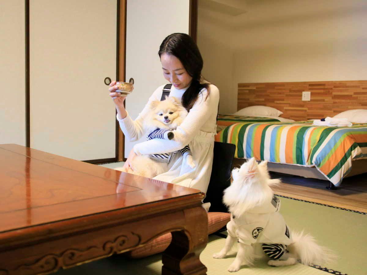 Yururi Nishi-Izu: A Hot Spring Inn Where You Can Stay with Your Beloved Dog