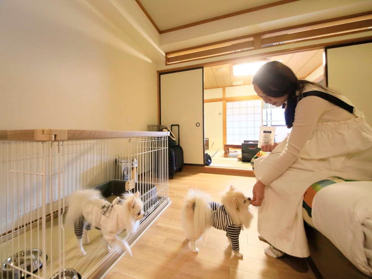Yururi Nishi-Izu: A Hot Spring Inn Where You Can Stay with Your Beloved Dog