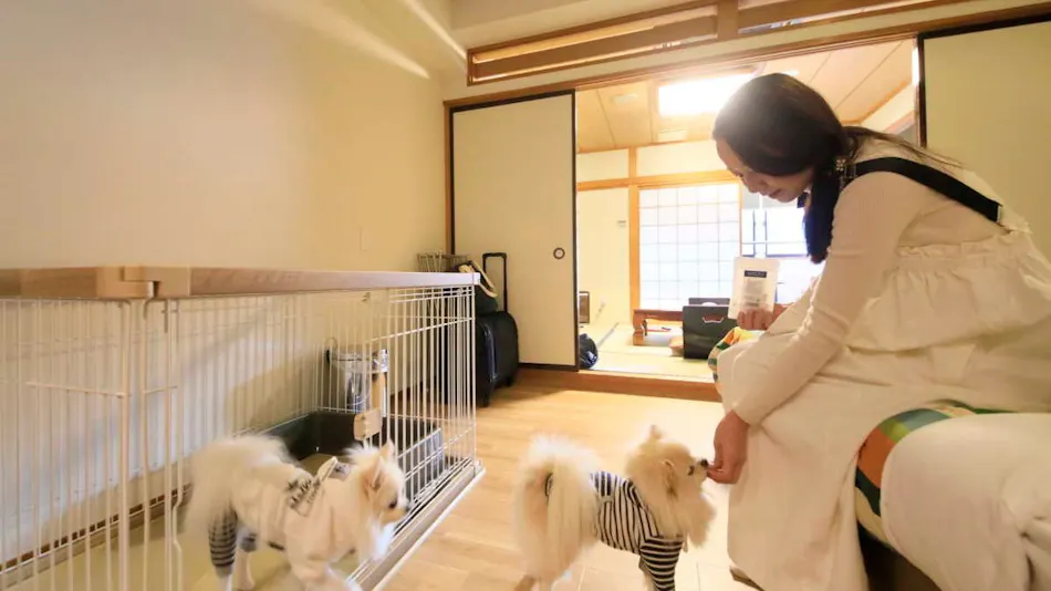 Yururi Nishi-Izu: A Hot Spring Inn Where You Can Stay with Your Beloved Dog
