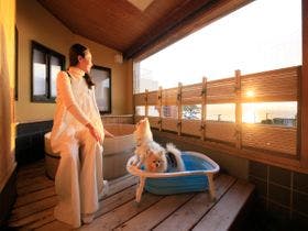 ペットと泊まれる宿 人気の宿をランキングでご紹介 Yahoo トラベル