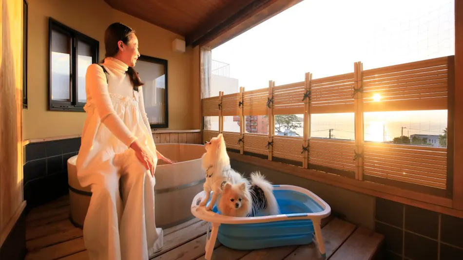 Yururi Nishi-Izu: A Hot Spring Inn Where You Can Stay with Your Beloved Dog