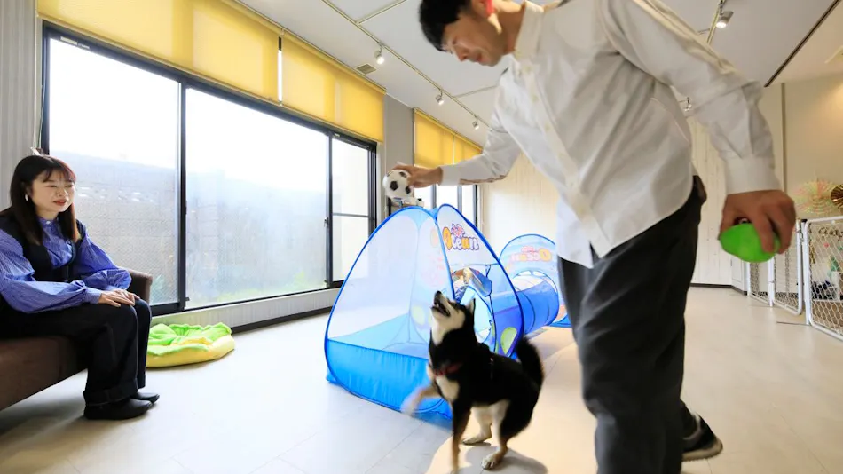 Yururi Nishi-Izu: A Hot Spring Inn Where You Can Stay with Your Beloved Dog