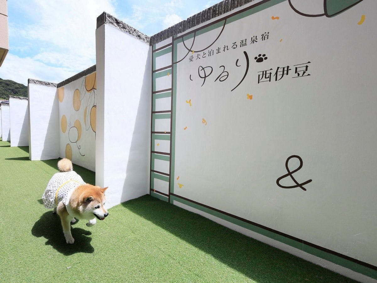 Yururi Nishi-Izu: A Hot Spring Inn Where You Can Stay with Your Beloved Dog