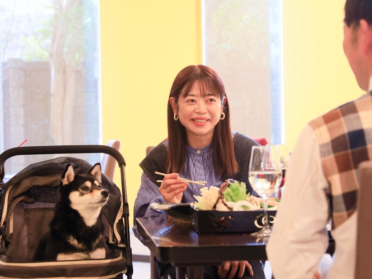 Yururi Nishi-Izu: A Hot Spring Inn Where You Can Stay with Your Beloved Dog