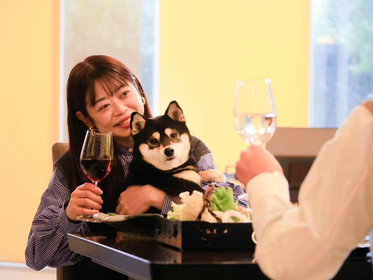 Yururi Nishi-Izu: A Hot Spring Inn Where You Can Stay with Your Beloved Dog