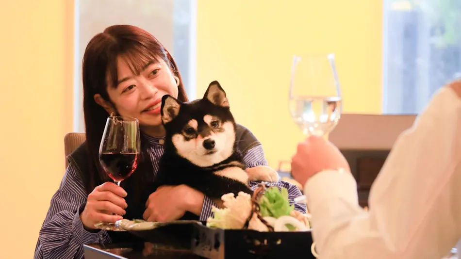 Yururi Nishi-Izu: A Hot Spring Inn Where You Can Stay with Your Beloved Dog