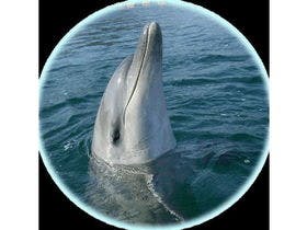 ビジネスホテル　東宝イン高松