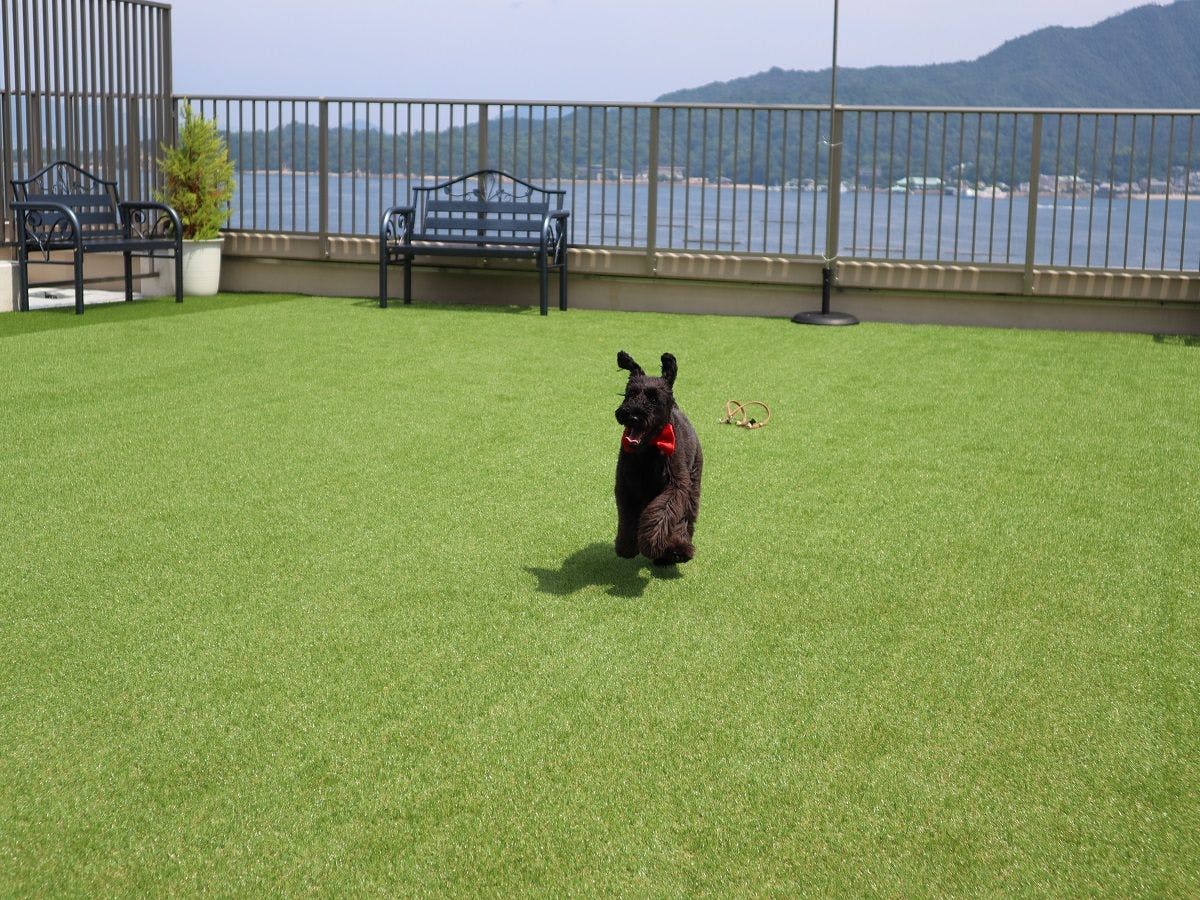 Onsen no Yado Miyajima-an Hiroshima