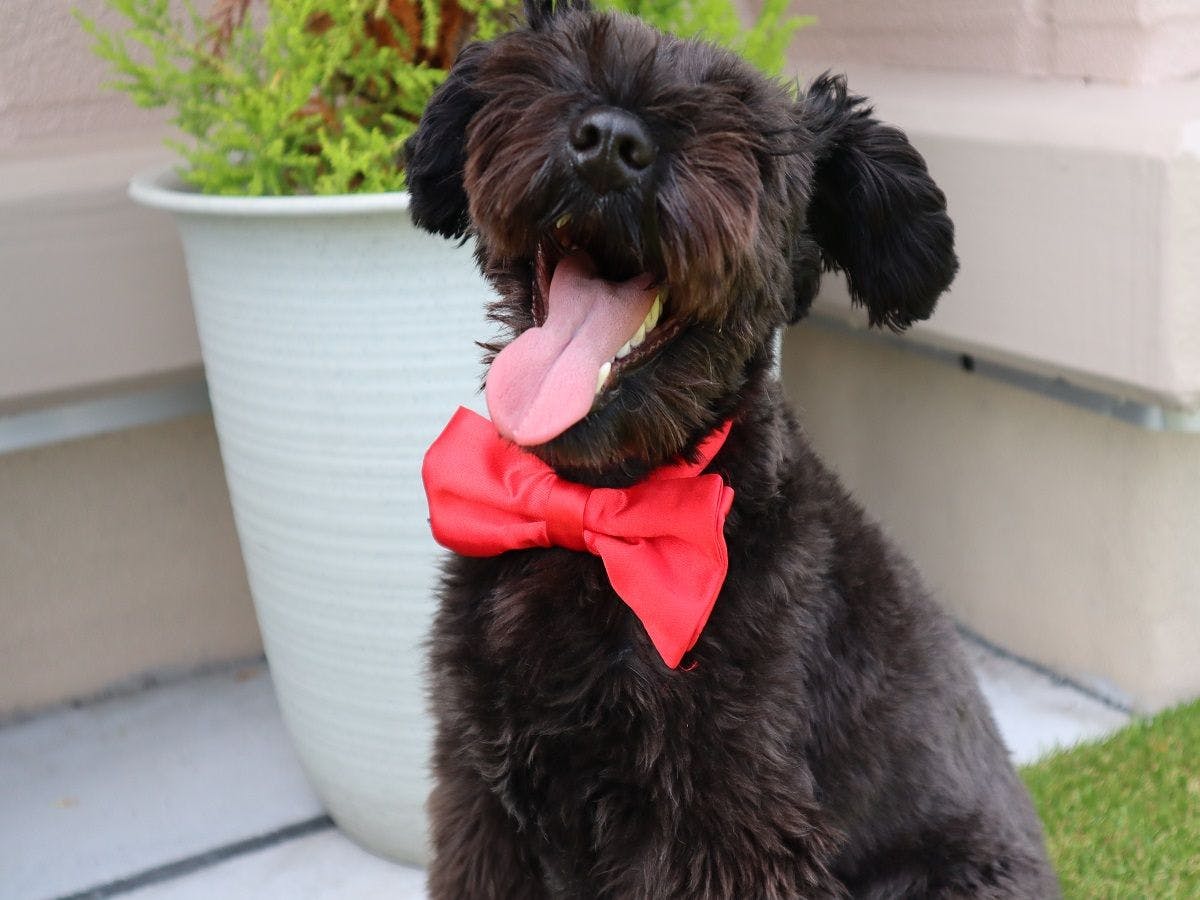 옥상에서 여유를 즐기는 젊은 여주인