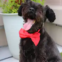 옥상에서 여유를 즐기는 젊은 여주인