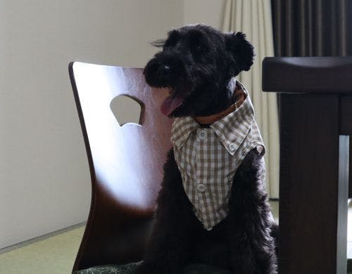 お部屋でのんびり