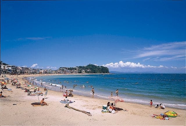 あつ美やマリンパークホテル の宿泊プラン 予約 Yahoo トラベル