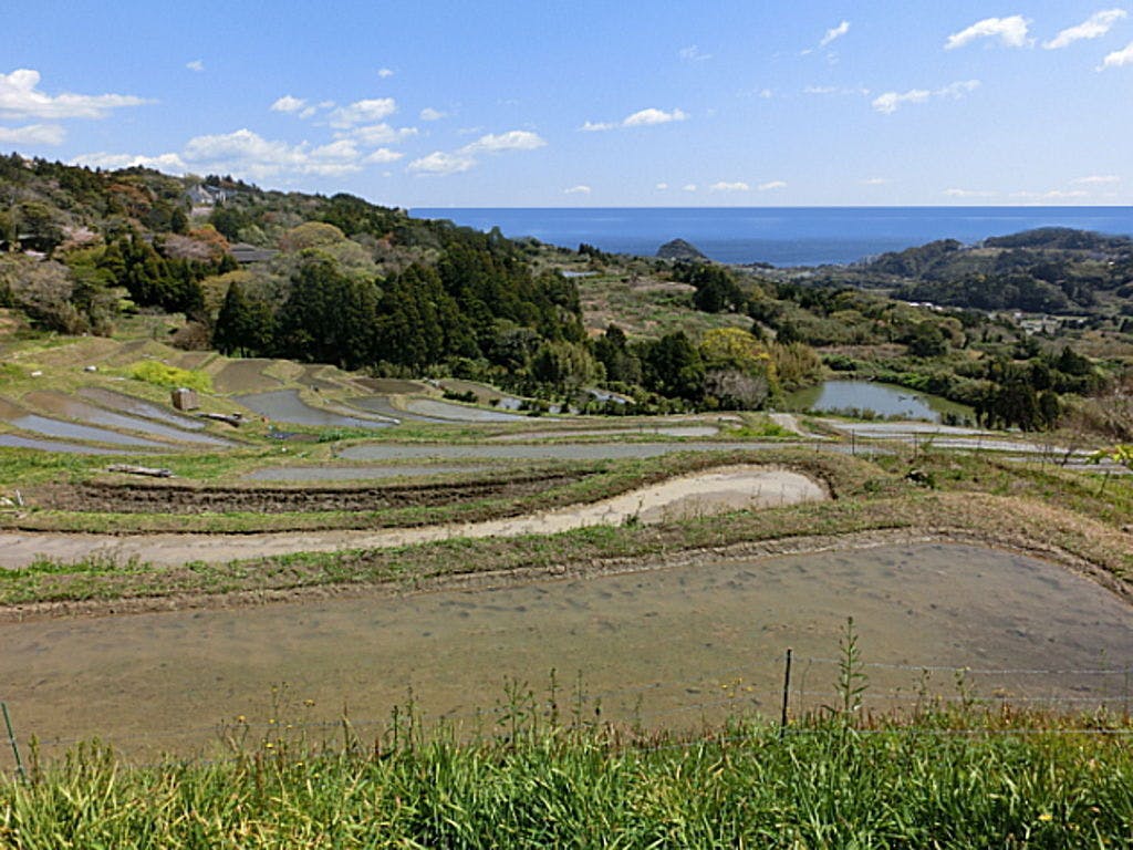 Hill with Ocean View Four Seasons