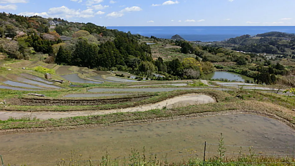 Hill with Ocean View Four Seasons