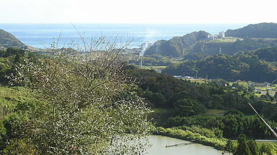 Hill with Ocean View Four Seasons