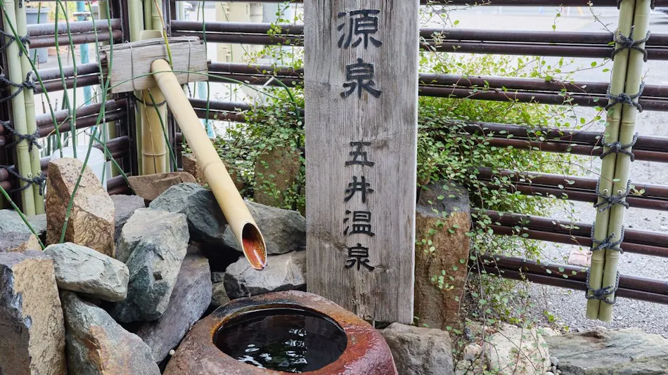 Business Hotel Goi Onsen