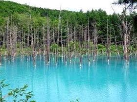 大雪山白金観光ホテル