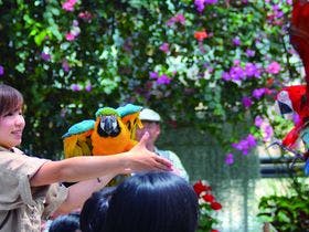 アリストンホテル神戸