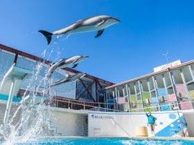 西伊豆クリスタルビューホテル【伊東園ホテルズ】