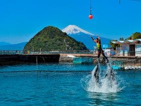 西伊豆クリスタルビューホテル【伊東園ホテルズ】