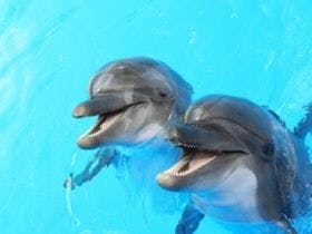 西伊豆クリスタルビューホテル【伊東園ホテルズ】