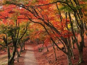 西伊豆クリスタルビューホテル【伊東園ホテルズ】