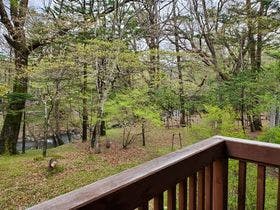 竜頭の滝リバーサイド渓