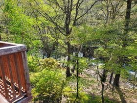 竜頭の滝リバーサイド渓