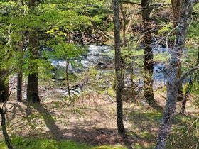 竜頭の滝リバーサイド渓