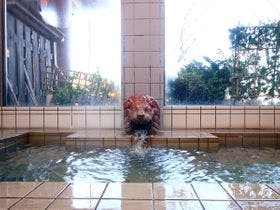 お城の民宿　花ぐるま