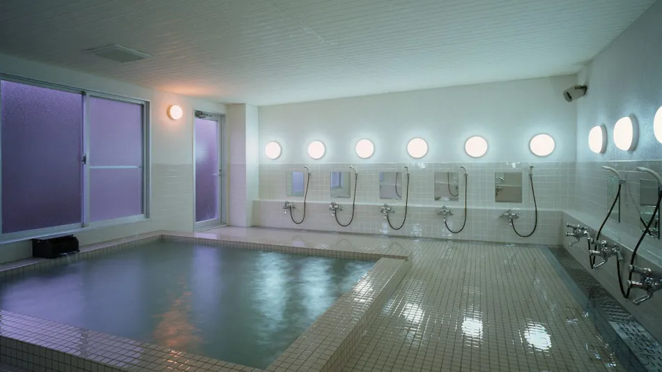 Ryuo Park Hotel