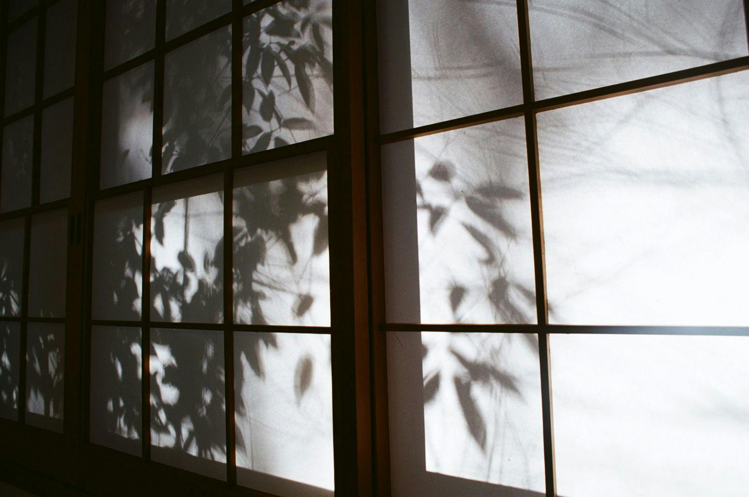 Onsen Inn Hakono-wa