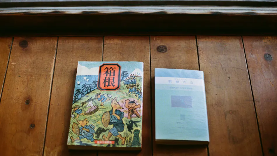 Onsen Inn Hakono-wa