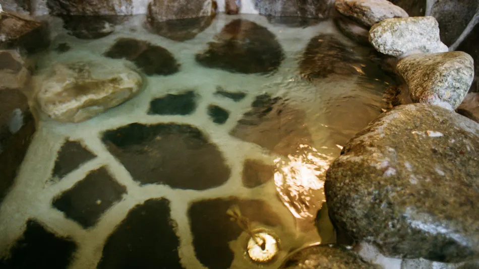 Onsen Inn Hakono-wa