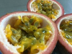 国民宿舎　サンマリーナ