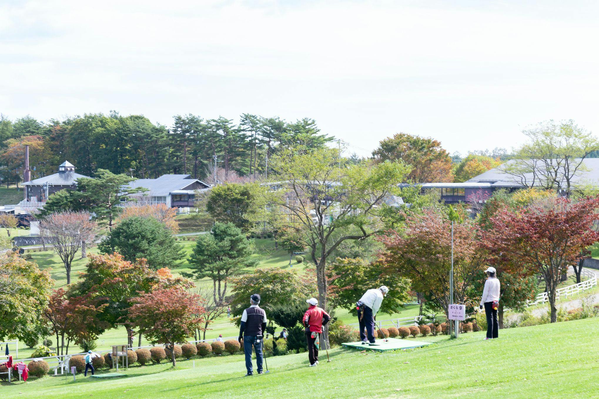 กอล์ฟสวน