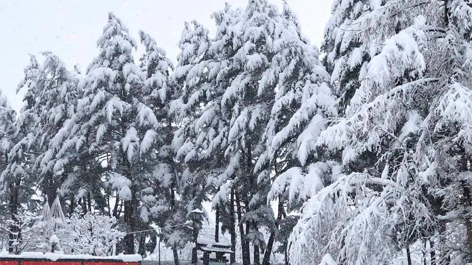 Kurobe Sun Valley Hotel