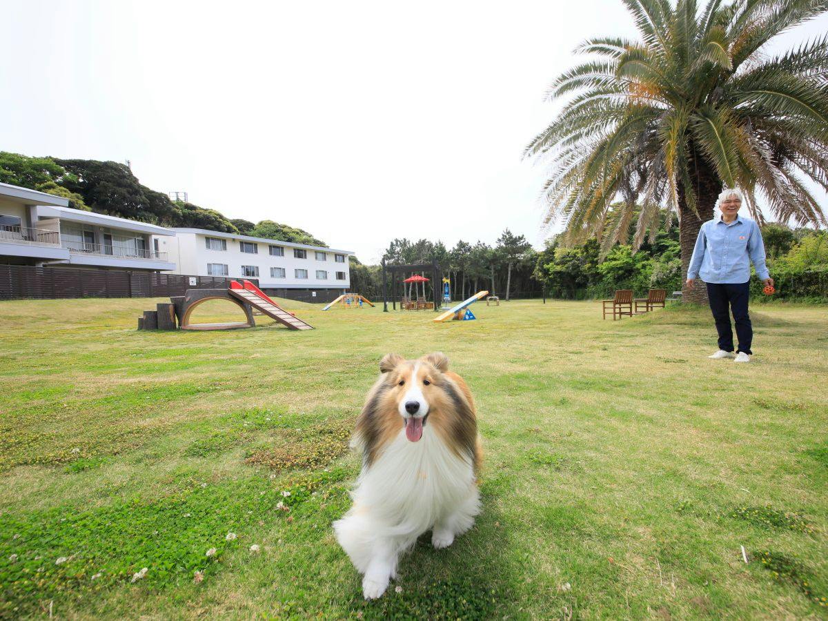 Wan's LAND TATEYAMA