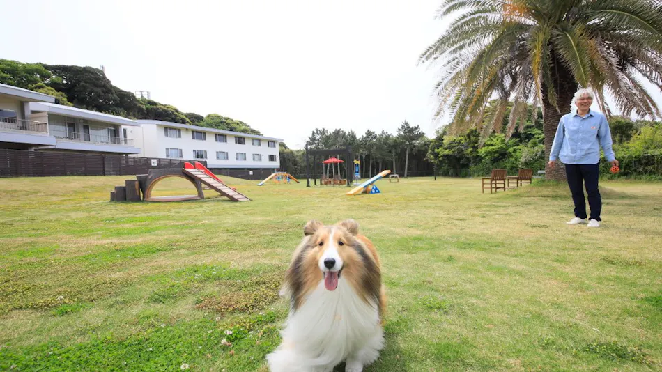 Wan's LAND TATEYAMA
