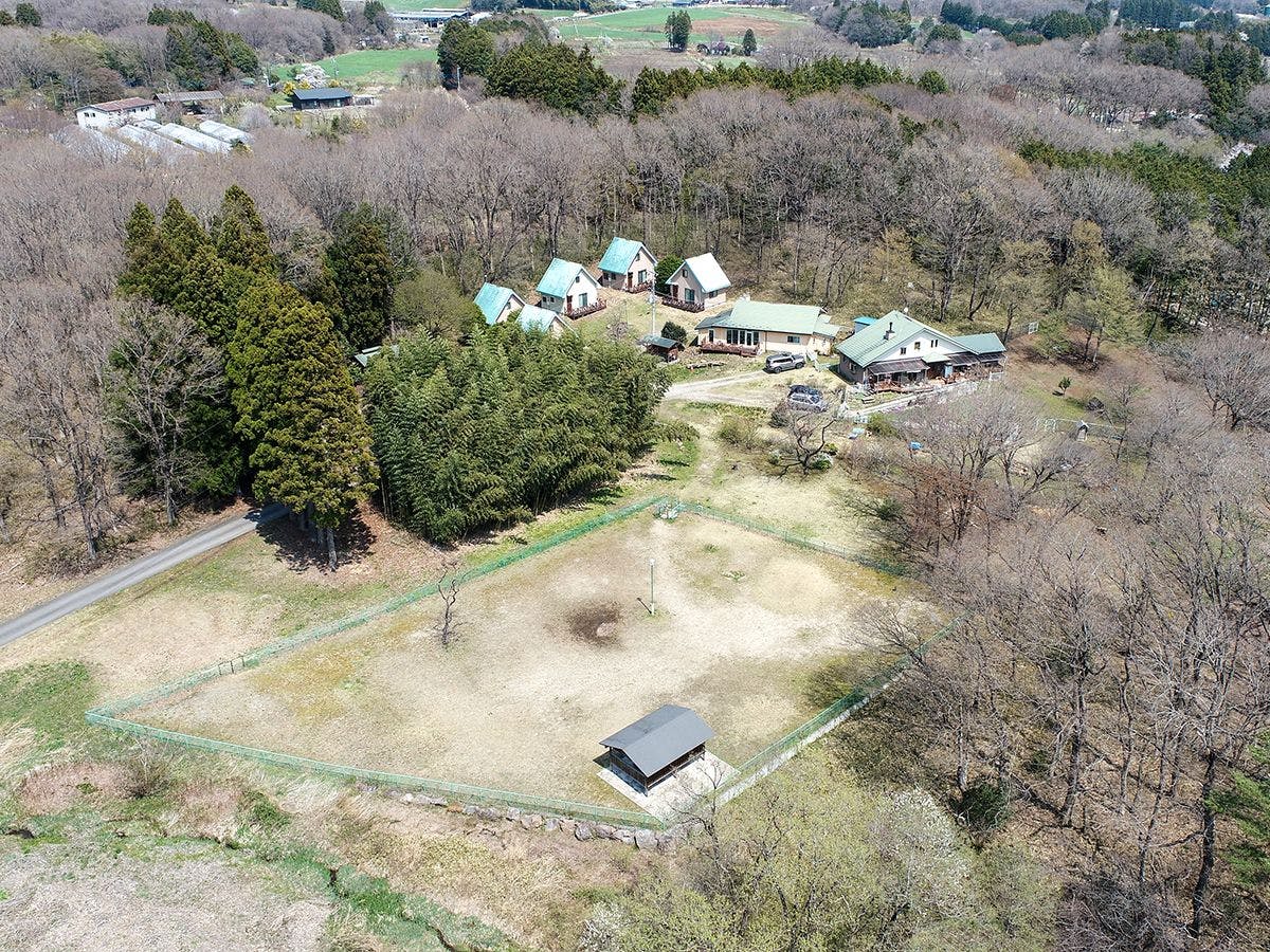 Dog Cottage Heart Hills