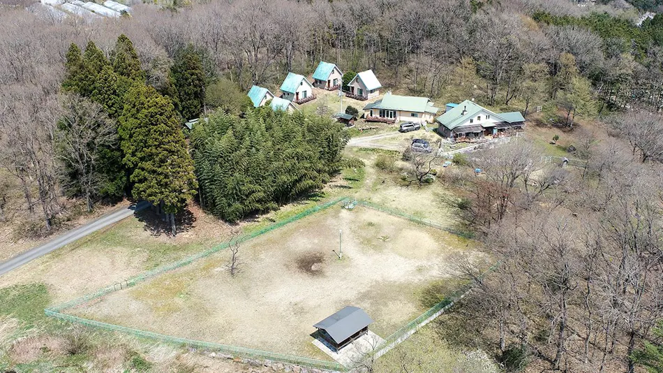 Dog Cottage Heart Hills