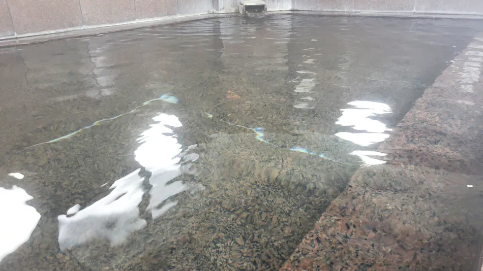 Saga City Hotel
