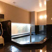 Large Public Bath Image