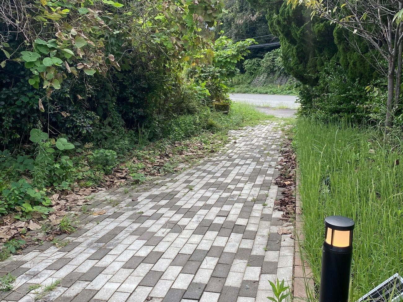 ทางไปยังอาคารห้องอาบน้ำและห้องน้ำ